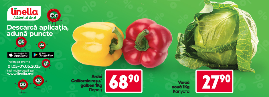 Mega Offer!