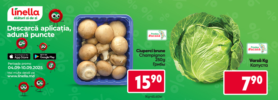 Mega Offer!